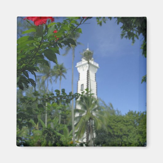 South Pacific, Frans Polynesië, Tahiti. Hibiscus 2 Magneet (Voorkant)