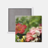 South Pacific, French Polynesia, Society 2 Magneet (Voorkant / Achterkant)