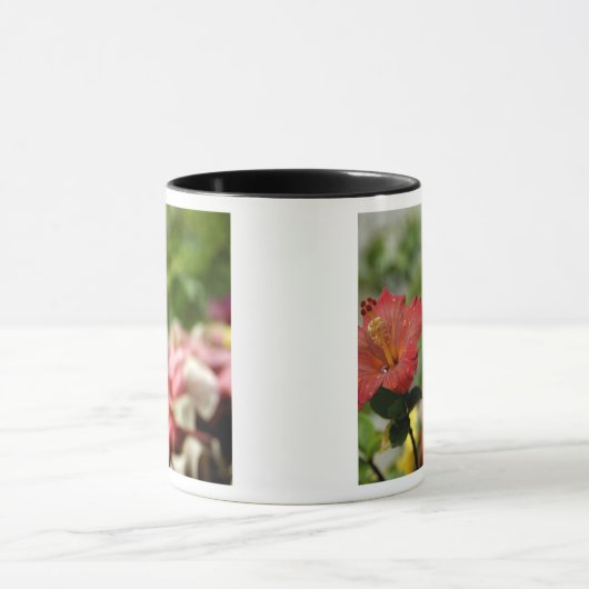 South Pacific, French Polynesia, Society 2 Mok (Midden)