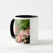 South Pacific, French Polynesia, Society 2 Mok (Voorkant links)