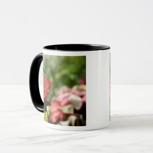 South Pacific, French Polynesia, Society 2 Mok (Voorkant links)