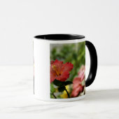 South Pacific, French Polynesia, Society 2 Mok (Voorkant rechts)