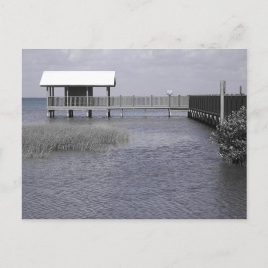 South Padre Briefkaart (Voorkant)