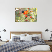 South Padre Island, Texas, VS, Baltimore Oriole Canvas Afdruk (Insitu (Slaapkamer))