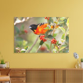 South Padre Island, Texas, VS, Baltimore Oriole Canvas Afdruk (Insitu (Woonkamer))