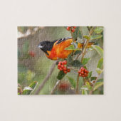 South Padre Island, Texas, VS, Baltimore Oriole Legpuzzel (Horizontaal)