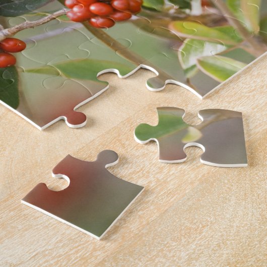 South Padre Island, Texas, VS, Baltimore Oriole Legpuzzel (Zijkant)