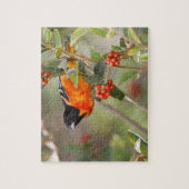 South Padre Island, Texas, VS, Baltimore Oriole Legpuzzel (Verticaal)