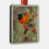 South Padre Island, Texas, VS, Baltimore Oriole Metalen Ornament (Rechts)