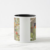 South Padre Island, Texas, VS, Baltimore Oriole Mok (Midden)