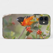 South Padre Island, Texas, VS, Baltimoretroepiaal Case-Mate iPhone Case (Achterkant (horizontaal))