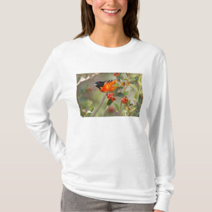South Padre Island, Texas, VS, Baltimorische Troep T-shirt
