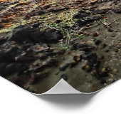 South Point Hawaii jeep avontuurlijk avontuur post Poster (Hoek)