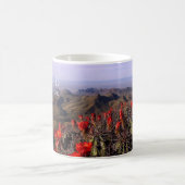 South Rim, Cactus Blossom, Big Bend National Park Koffiemok (Center)