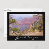 South Rim Grand Canyon Briefkaart (Voorkant / Achterkant)