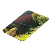South Silver Herfsten, Oregon Magneet (Linkerzijde)