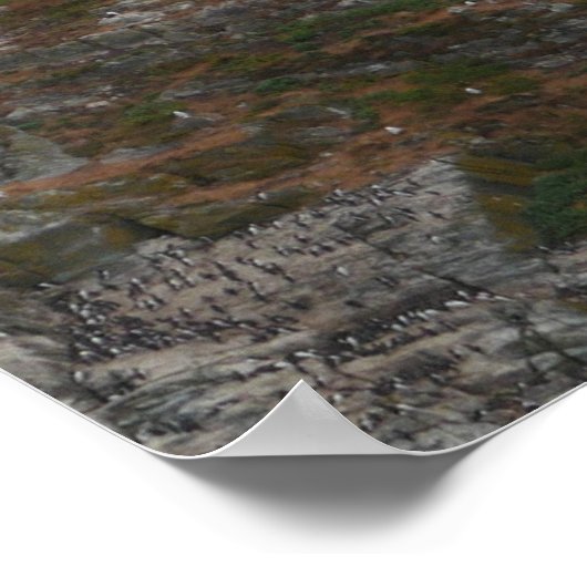 South Stack Lighthouse Poster (Hoek)