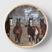 South Steens Strong (Voorkant)