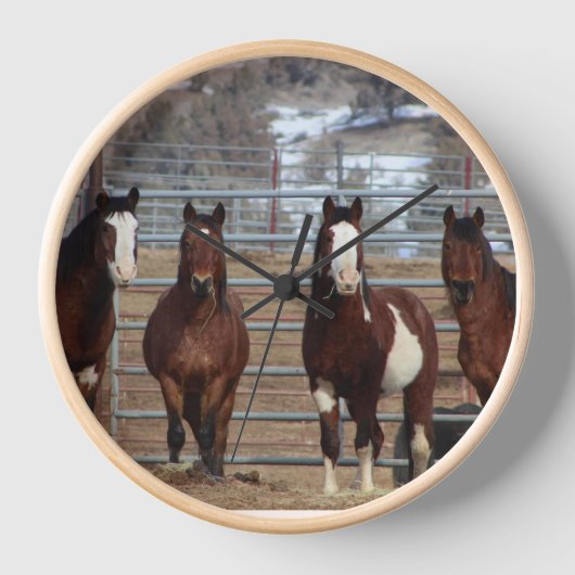 South Steens Strong (Voorkant)