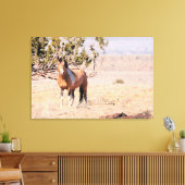 South Steens Wild Horse Canvas Afdruk (Insitu (Woonkamer))