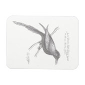 South Tirnishan Violet-Winged Sapier Magnet Magneet (Horizontaal)