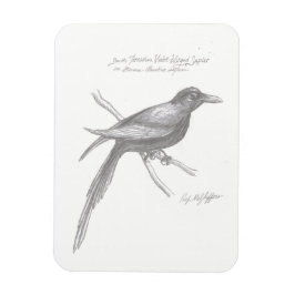 South Tirnishan Violet-Winged Sapier Magnet Magneet