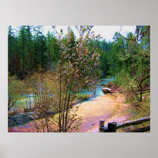 South Umpqua River Poster (Voorkant)