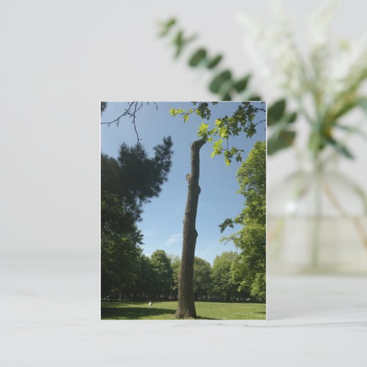 Southampton Briefkaart (Staand voorkant)