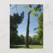 Southampton Briefkaart (Voorkant)