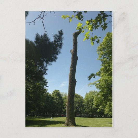 Southampton Briefkaart (Voorkant)