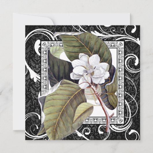 Southern Belle Magnolia Save the Date Damask (Voorkant)