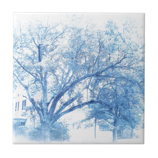 Southern Blue Oak Toile Tegeltje (Voorkant)