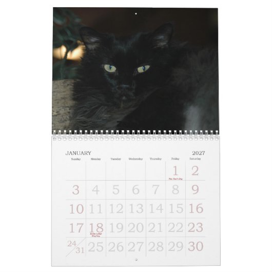 Southern Calender Kalender (Jan 2027)