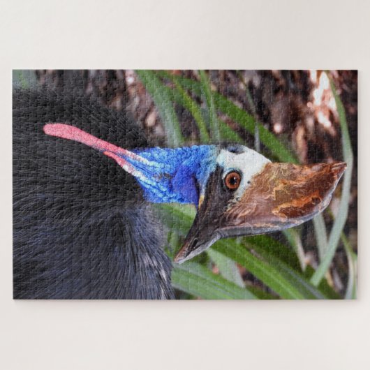 Southern Cassowary Legpuzzel (Horizontaal)