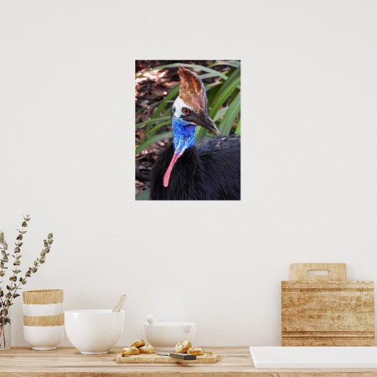 Southern Cassowary Poster (Keuken)