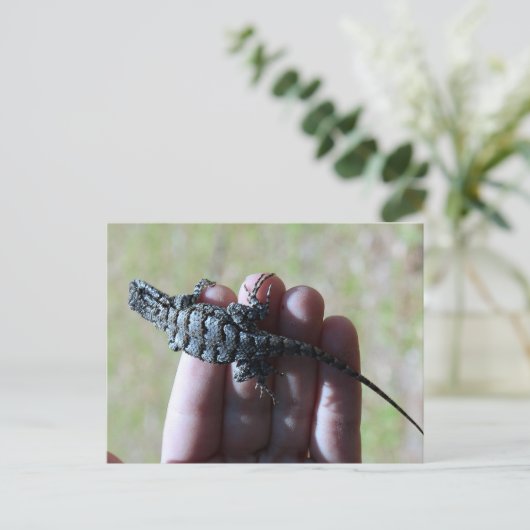 Southern Fence Lizard Briefkaart (Staand voorkant)