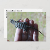 Southern Fence Lizard Briefkaart (Voorkant / Achterkant)