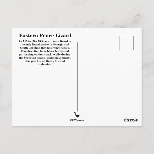 Southern Fence Lizard Briefkaart (Achterkant)
