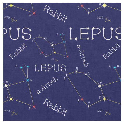 Southern Hemisphere Constellation Lepus Stof (Close Up)