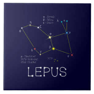 Southern Hemisphere Constellation Lepus Tegeltje