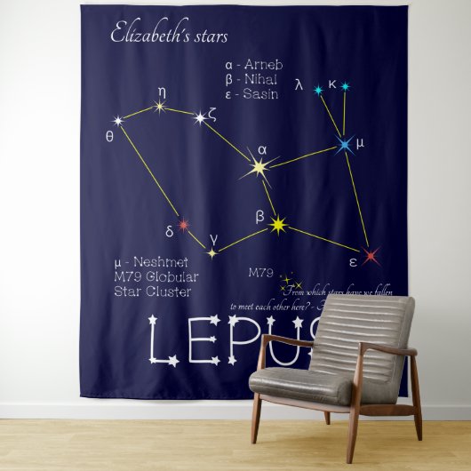 Southern Hemisphere Constellation Lepus Wandkleed (In situ)
