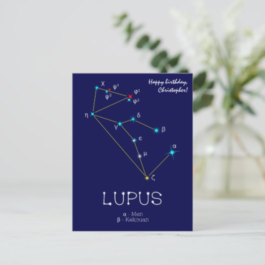 Southern Hemisphere Constellation Lupus Briefkaart (Staand voorkant)