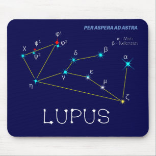 Southern Hemisphere Constellation Lupus Muismat