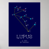 Southern Hemisphere Constellation Lupus Poster (Voorkant)