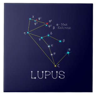 Southern Hemisphere Constellation Lupus Tegeltje