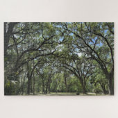 Southern Live Oak canopy Legpuzzel (Horizontaal)