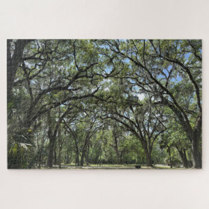 Southern Live Oak canopy Legpuzzel