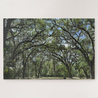 Southern Live Oak canopy Legpuzzel