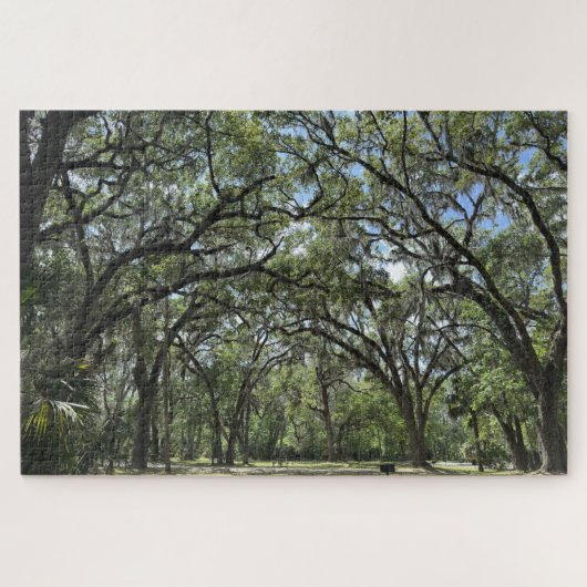 Southern Live Oak canopy Legpuzzel (Horizontaal)