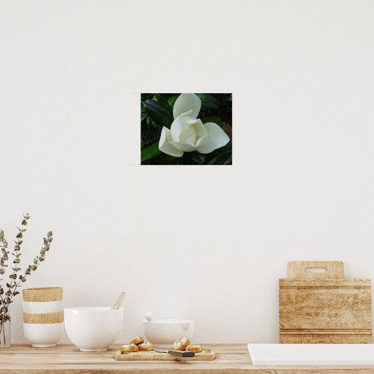 Southern Magnolia 3 Poster (Keuken)